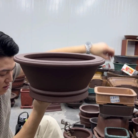 紫砂花盆中放的有五
