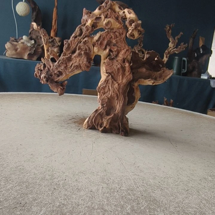 王***志金丝楠148金丝红木羊蹄甲半成品