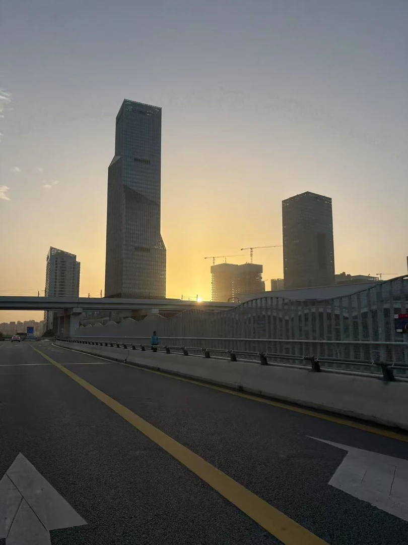 全新现货款思思轻奢时尚百搭手提包D09