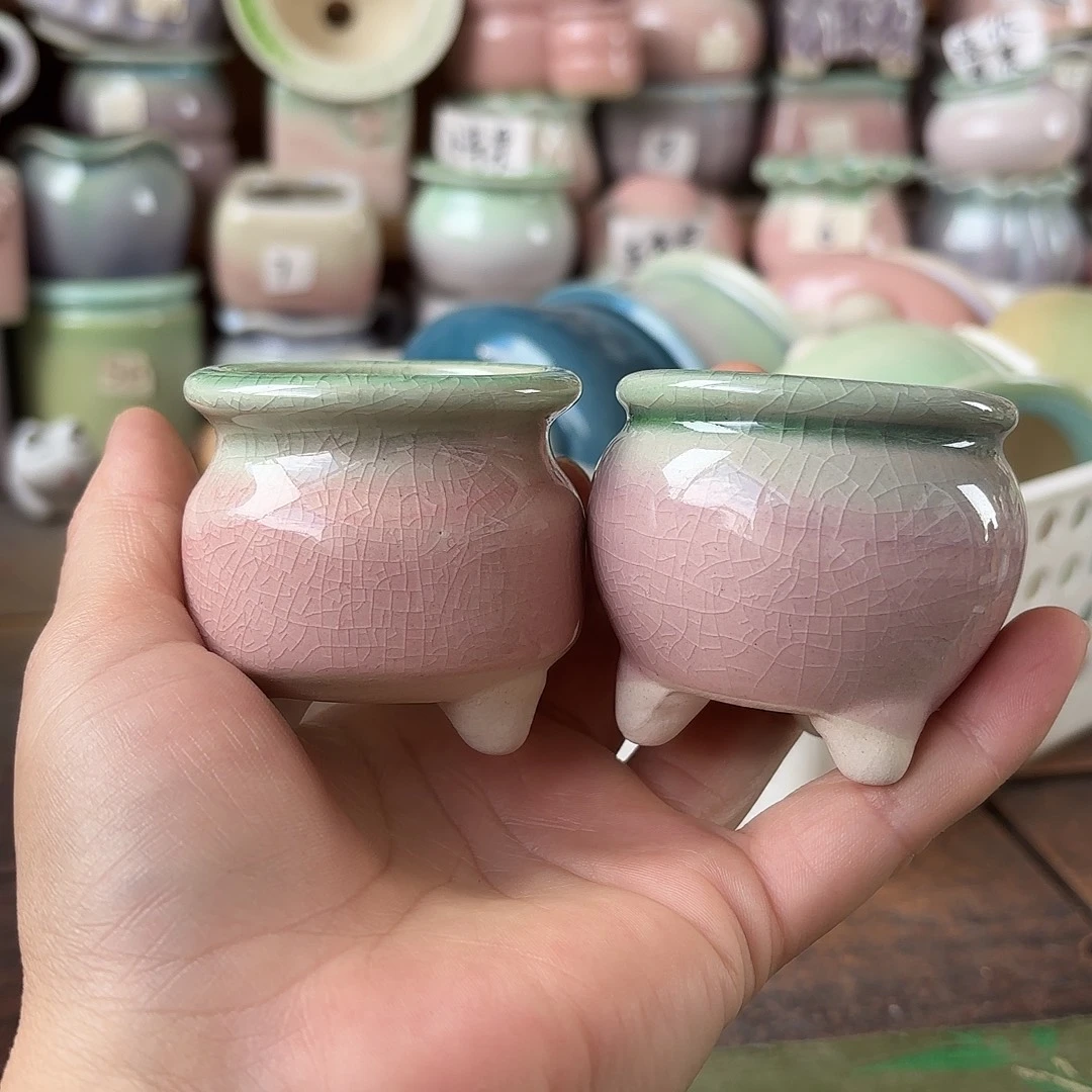 周****量货/口4高深浅搭配发24