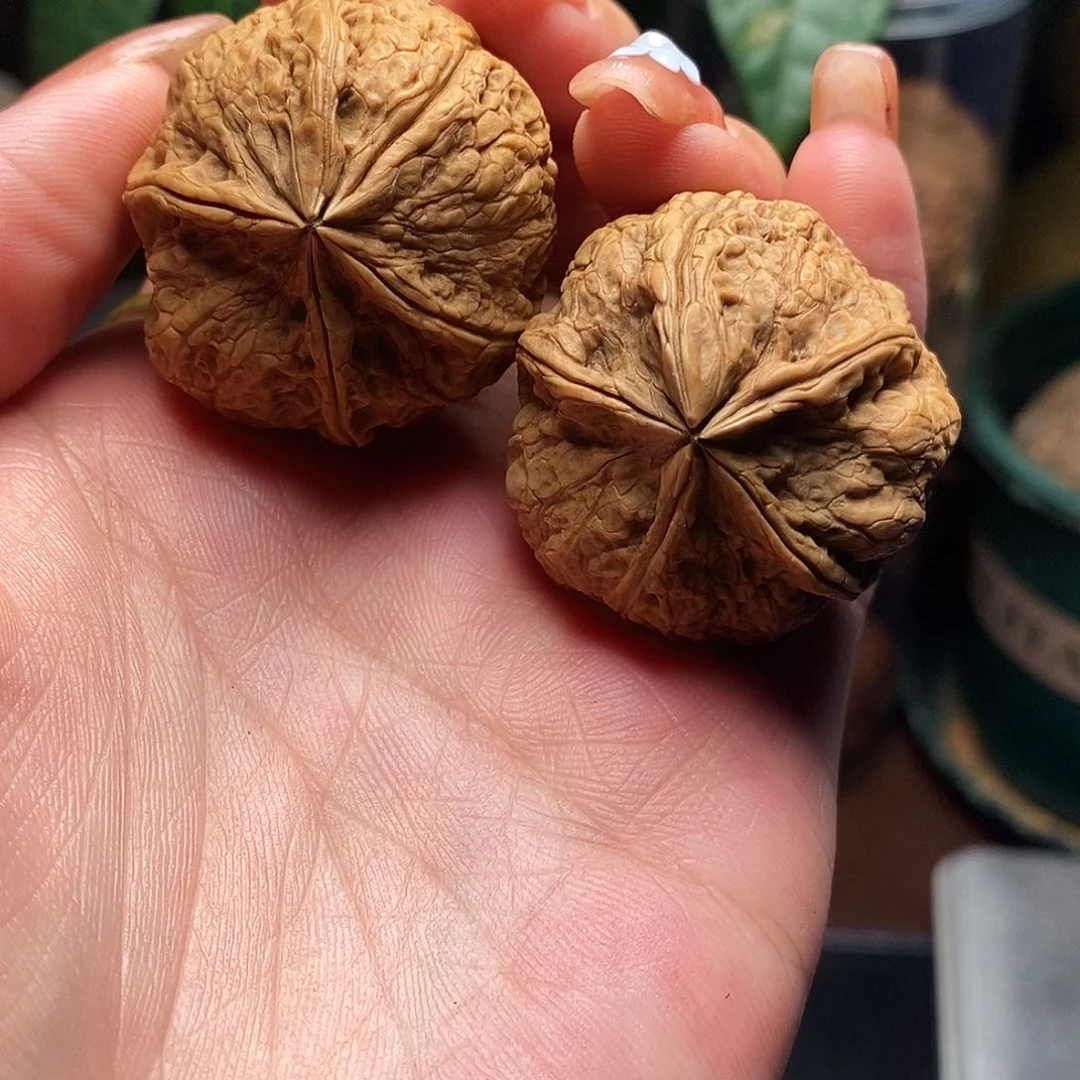 文玩核桃把件无*异形