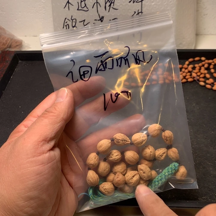 细***风文玩核桃吊坠野生精品小核桃散籽