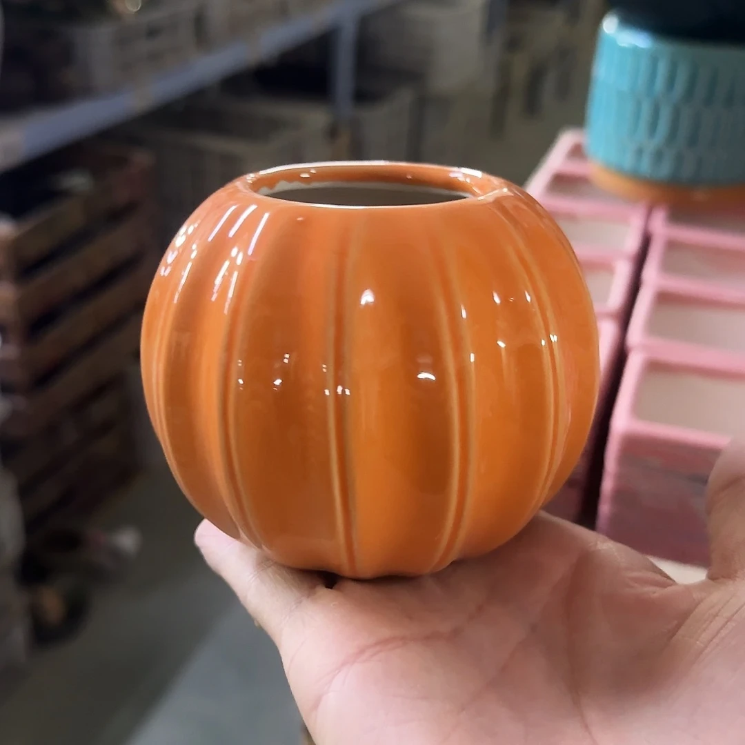 福利局绿植多肉盆［凑9元包邮24小时发］