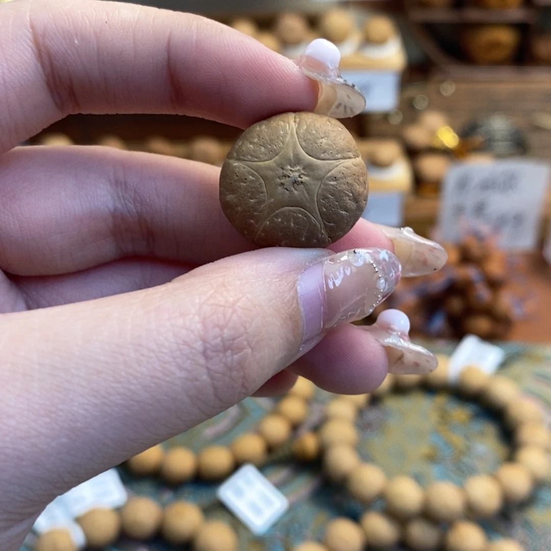 吊坠凤眼菩提五星