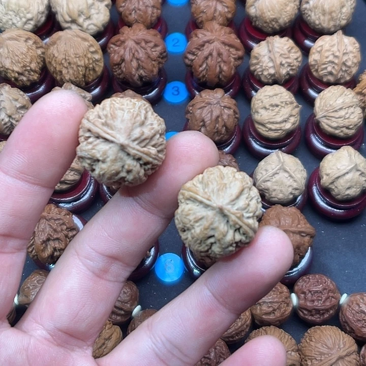 文玩核桃把件珊瑚纹小号