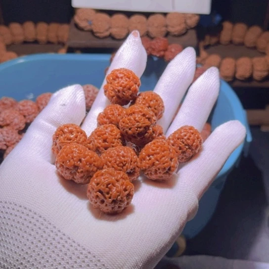 手串金刚菩提1**1