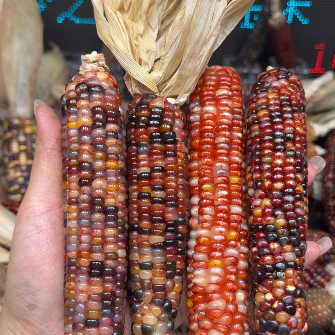 柏香籽/百香籽吊坠?***面