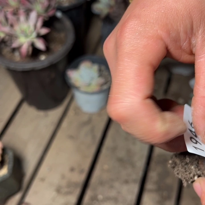 1946哈哈哈哈哈哈哈哈