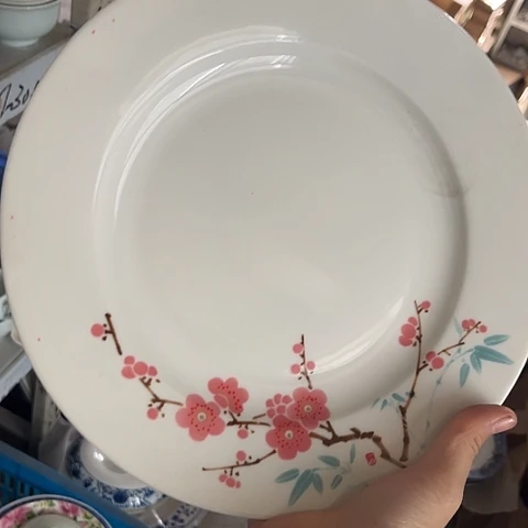 瓷其他10寸盘一个陶瓷