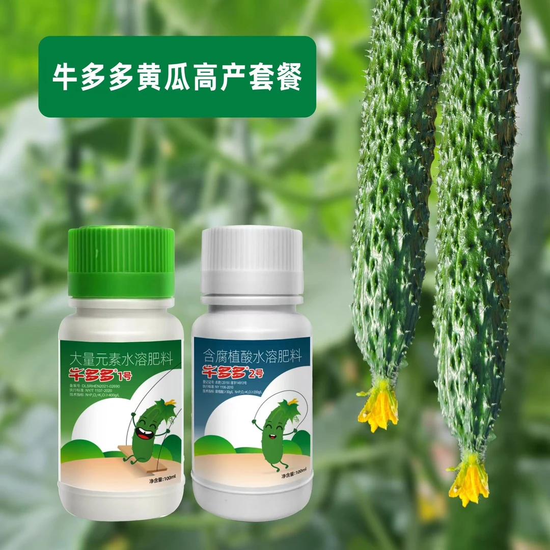 牛多多黄瓜高产套餐促花芽分化叶片浓绿茎秆粗壮瓜条顺直正品2