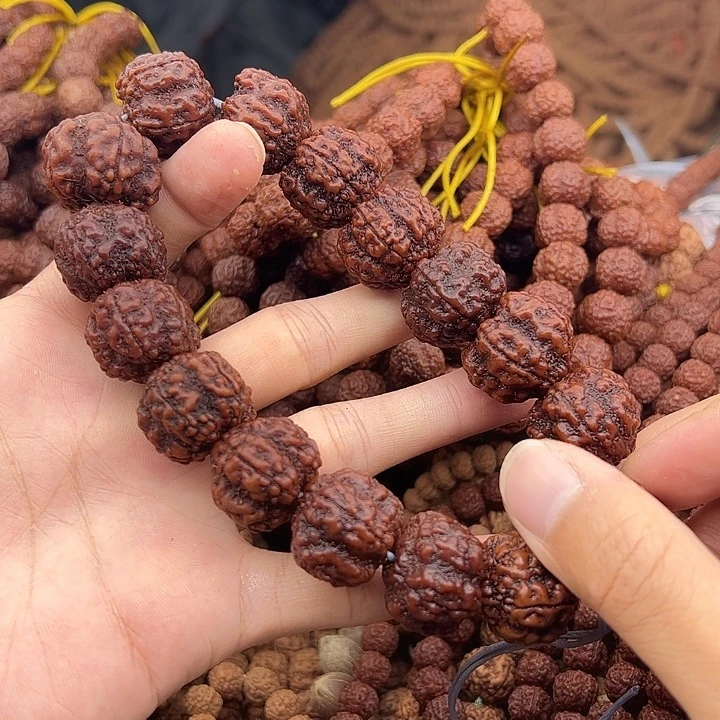 ****s手串金刚菩提谢谢