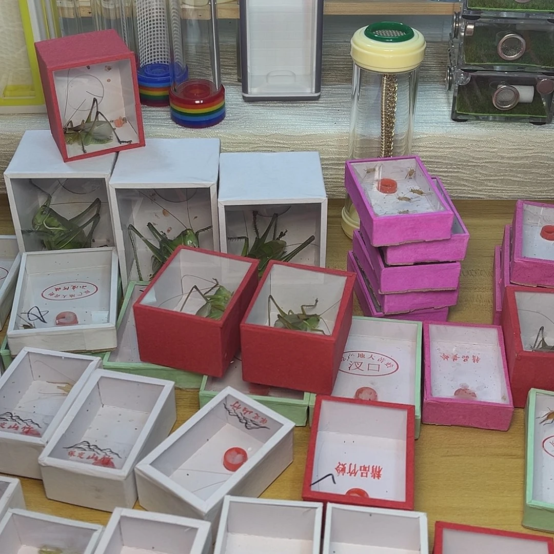 青竹 山竹。黑竹 小黄。