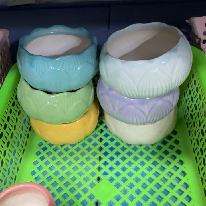 6个《所有单满15发（花盆）》8+5