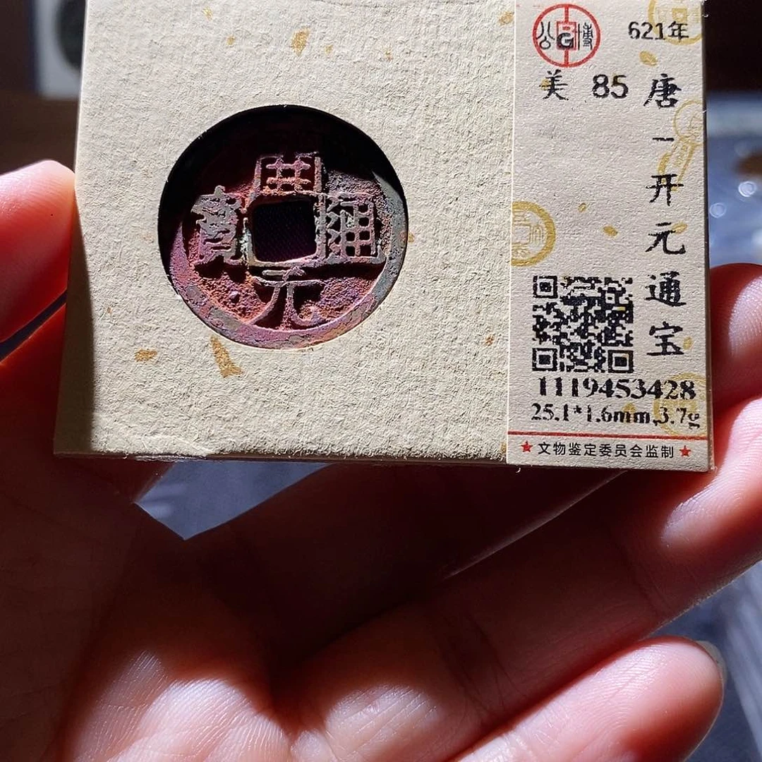 贝壳8 恭喜发财恭喜发财