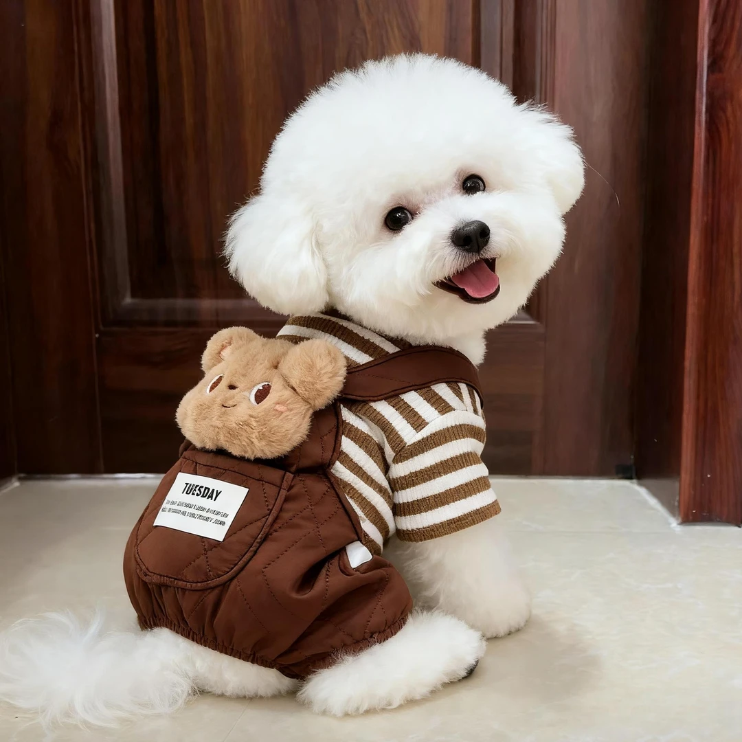 狗狗衣服秋冬新款大头玩偶四脚衣加绒保暖可牵引中小型犬博美泰迪