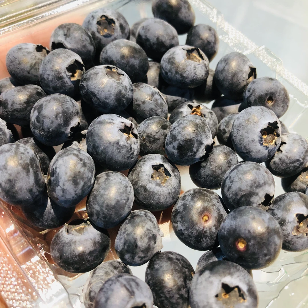 云南蓝莓一盒 约125g(13mm+中小果）蓝莓同城送