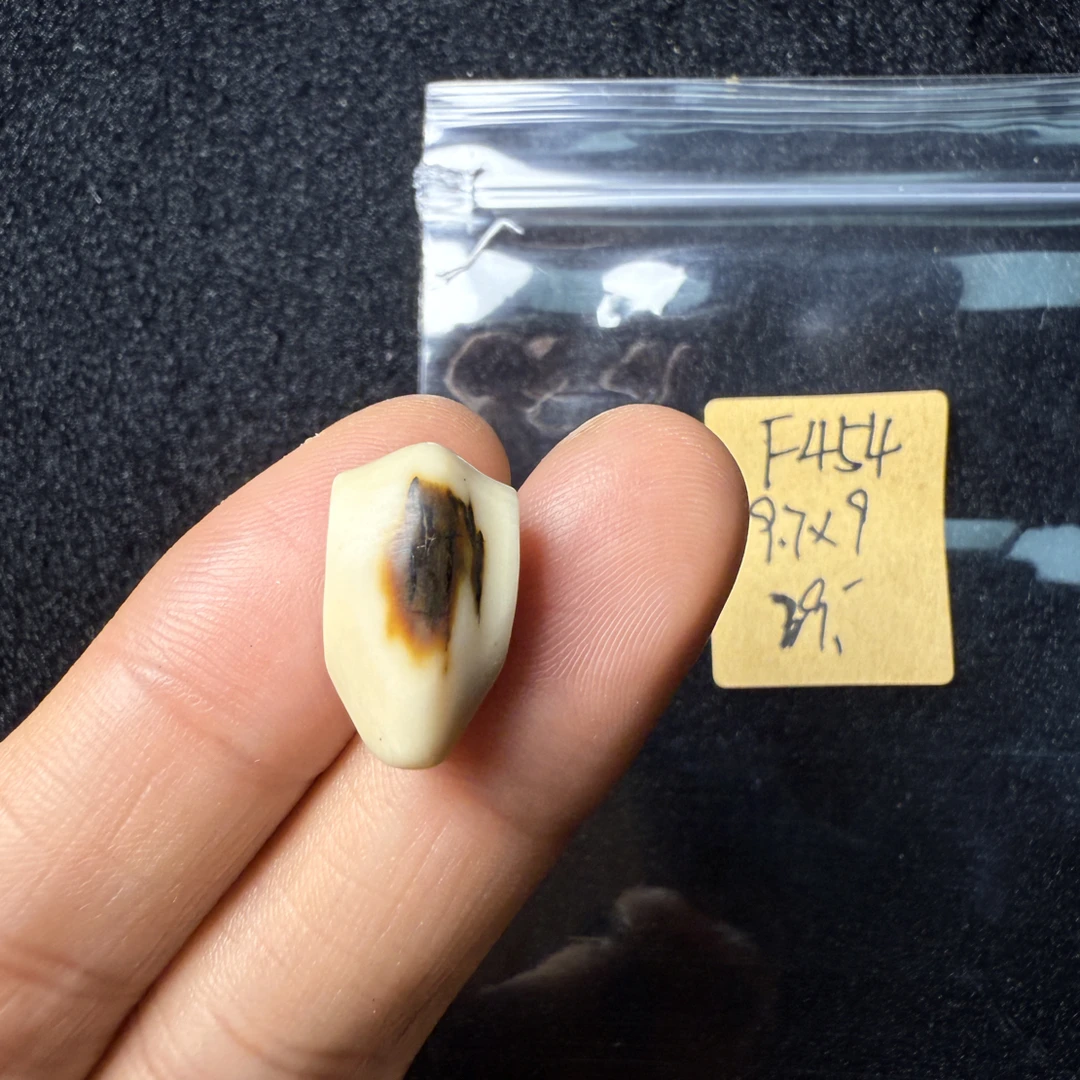 F454猛犸象牙鲨鱼背三通尺寸9.7*9mm果冻料
