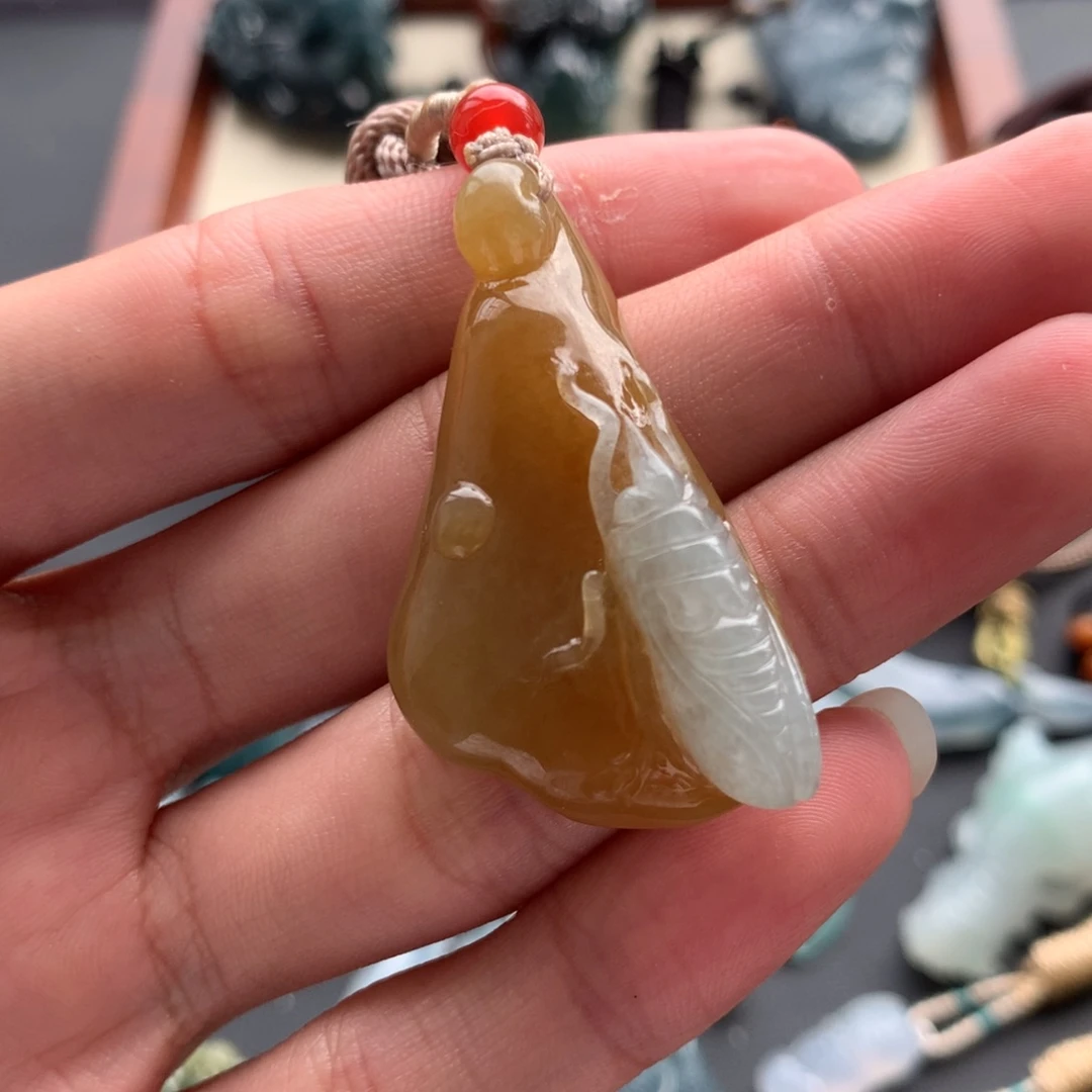 小***飞翡翠未镶嵌颈饰一鸣惊人