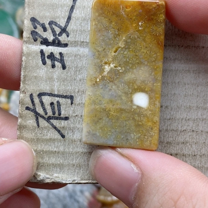 硅化珊瑚（珊瑚玉）未镶嵌颈饰财****）小