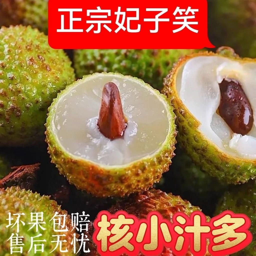 正宗妃子笑荔枝新鲜现摘清甜多汁肉厚核小当季水果应季水果