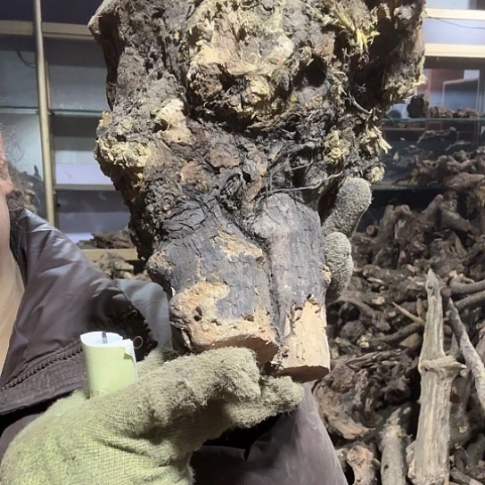 香榧木红*火琉璃的故事毛料摆件