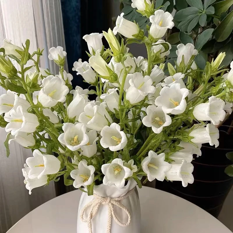 家居鲜花 白色风铃花