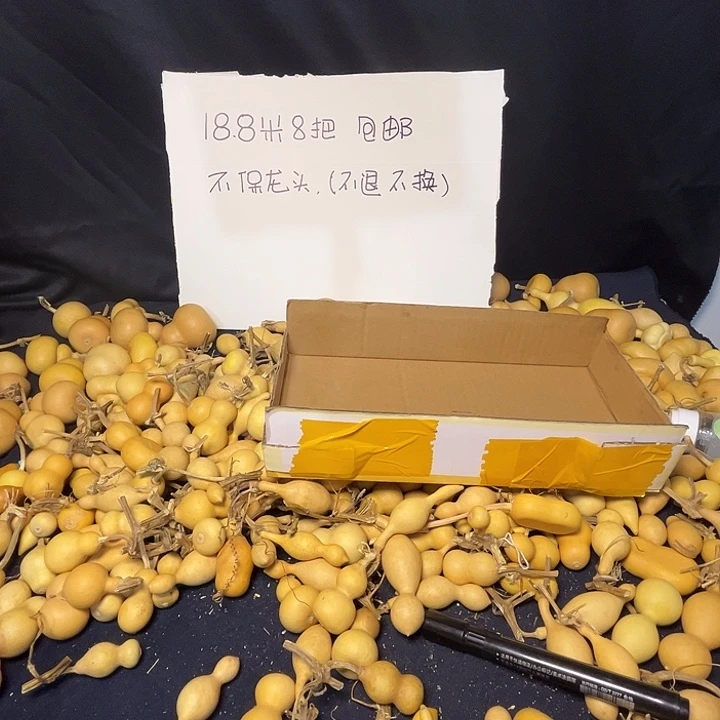 原****新人也会越来越有实力