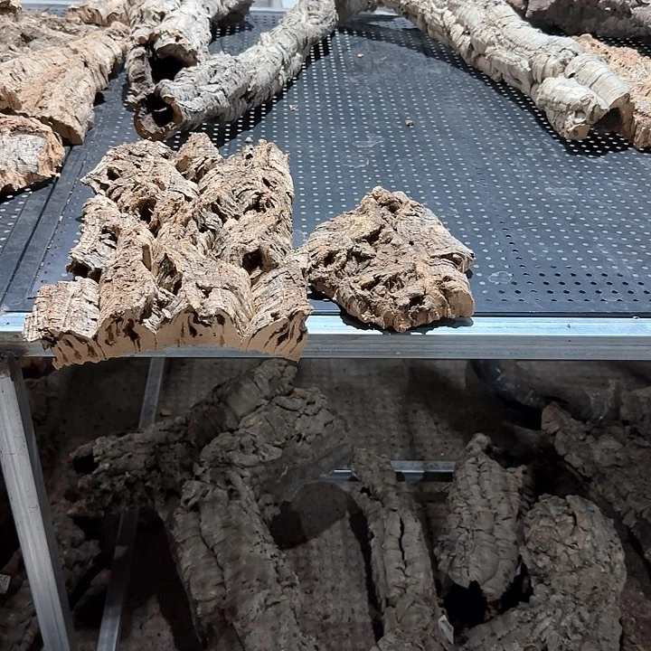 乐***刘完全开放一物一拍一物一发