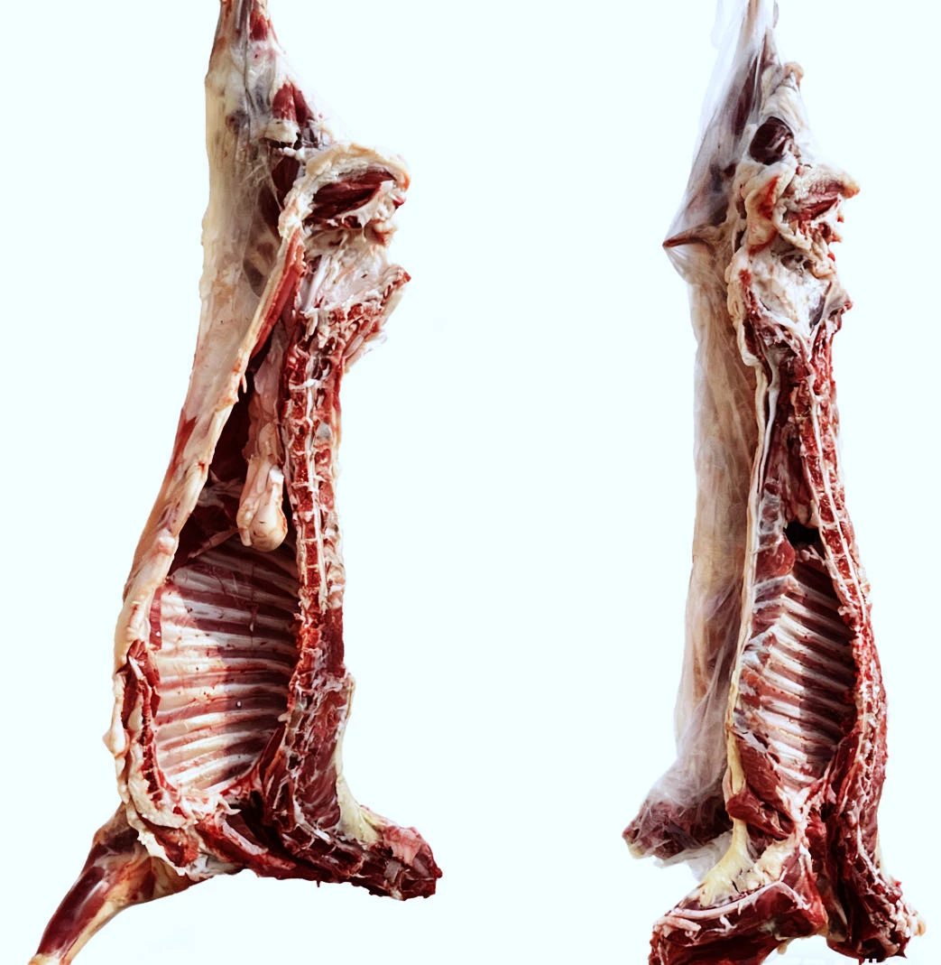 自选现称羊肉（草膘羊）新疆正宗哈萨克