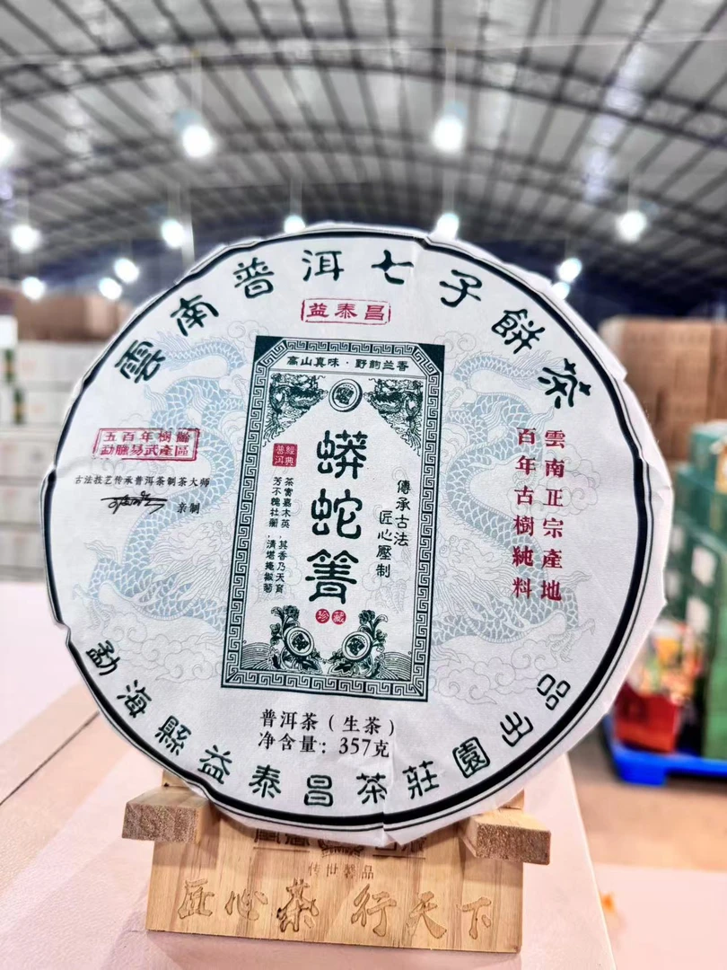【会长的茶】益泰昌2023年蟒蛇箐357克古树 古树头春生茶