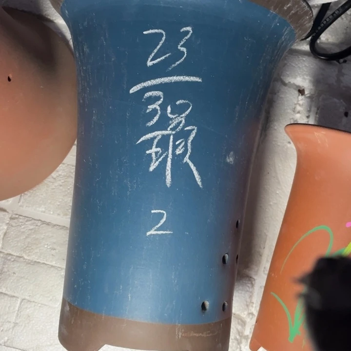 周三周四再说再说啧啧啧啧