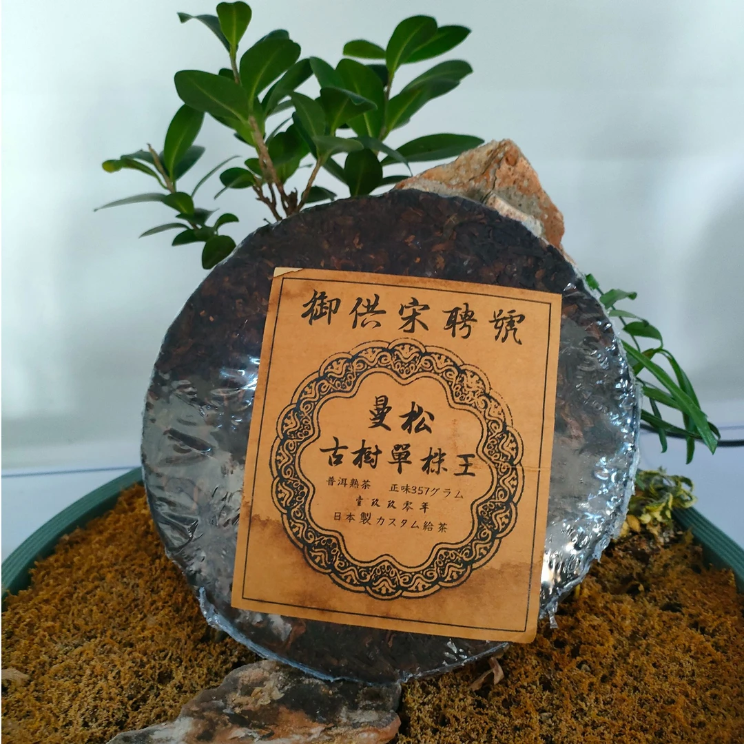 曼松古树单株王。