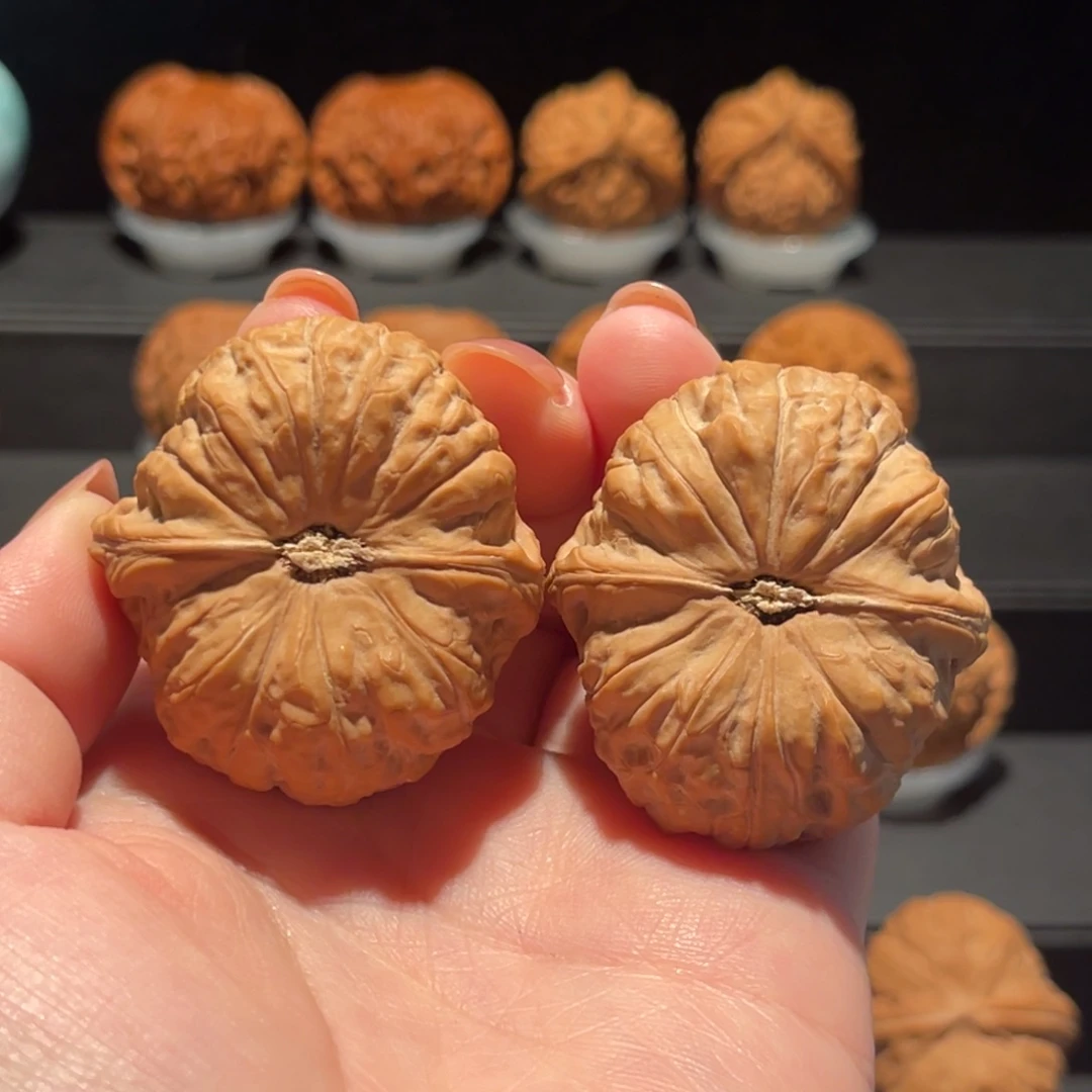 南瓜墩41精品，全品