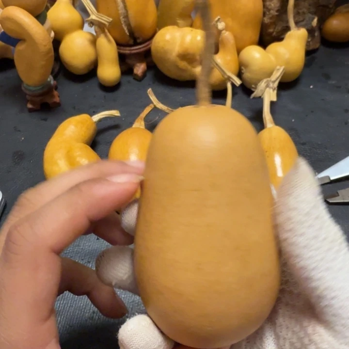 守***人66………………………………………………