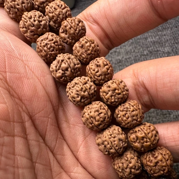 印尼东哇岛老树梅花单圈手持 颗颗正梅花小金刚手持