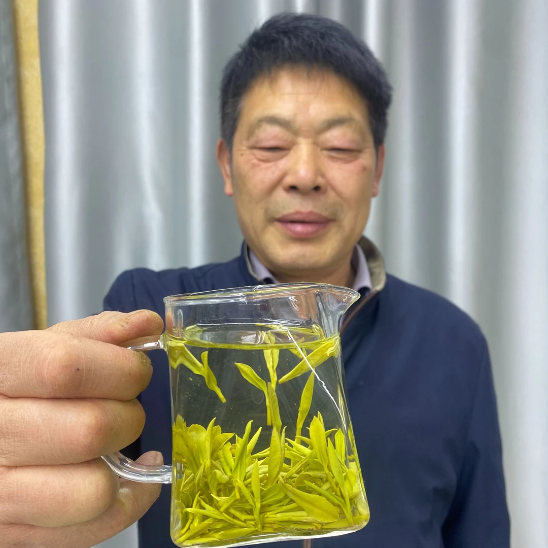 新茶M29黄山高山云雾毛峰浓香耐泡春季袋装明前茶绿茶鲜爽正宗
