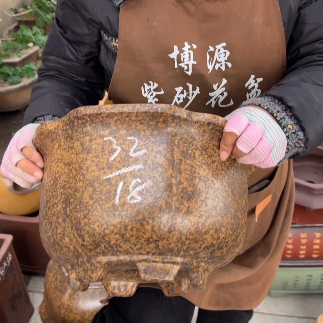 紫砂花盆盆景艺术