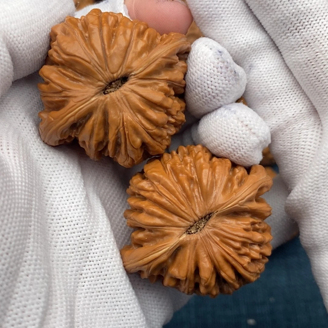 文玩核桃把件45平谷南瓜楼毕业