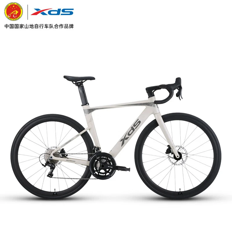 喜德盛（xds）AD300新款弯把破风公路自行车20速油压碟刹铝合金车架