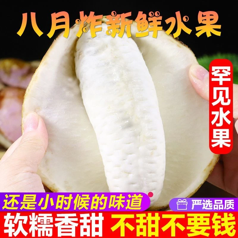 【顺丰包邮】云南8月瓜现摘软糯香甜野生水果0.5-5斤装产地直发营养