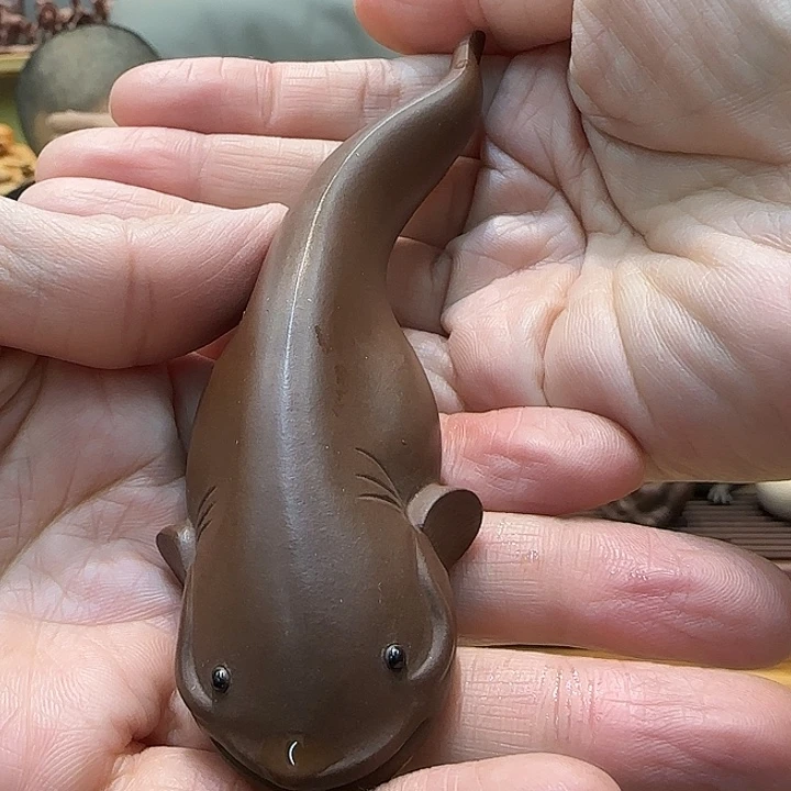 紫砂茶宠大*紫泥鲶鱼