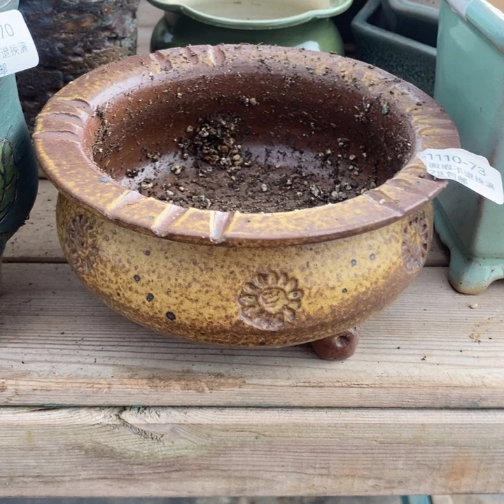 73号多肉盆口径13