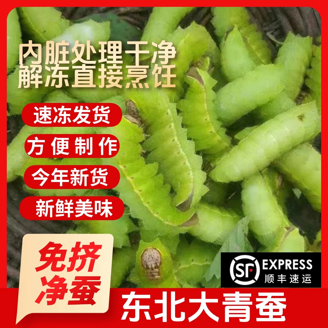 速冻大青蚕去完内脏发货无需处理400g/瓶