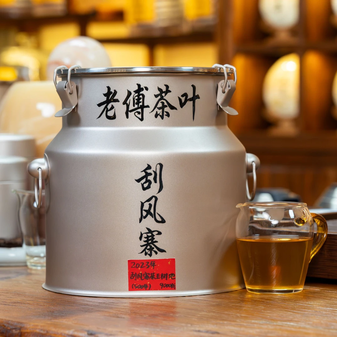 2023年刮风寨茶王树地（500年树龄）头春头采 古树纯料 普洱生茶