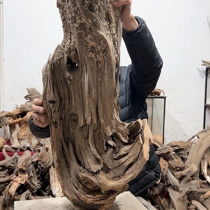 柏木柏**韵我们的生活也是如此