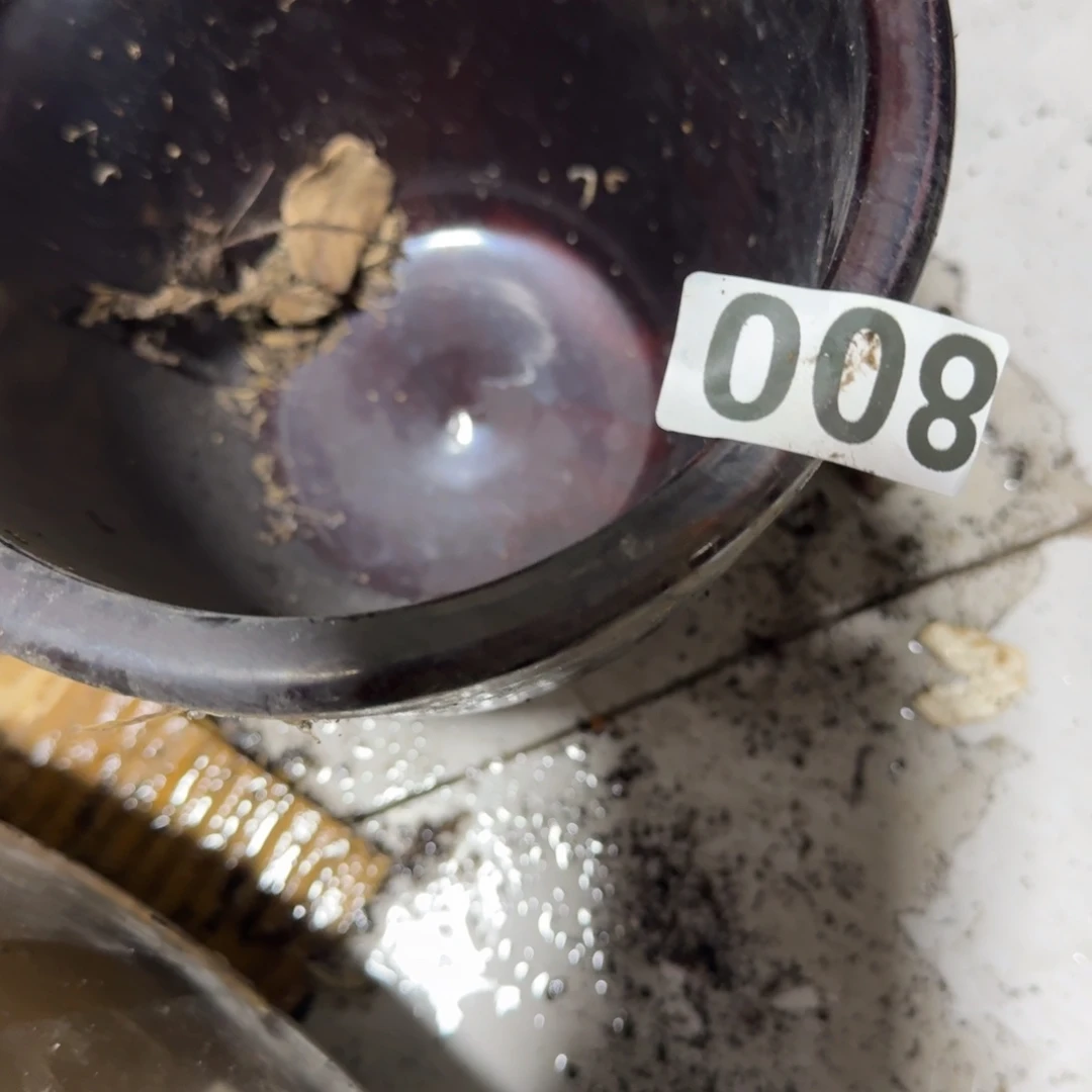 大***子茶盏你是什么情况呢还是在干