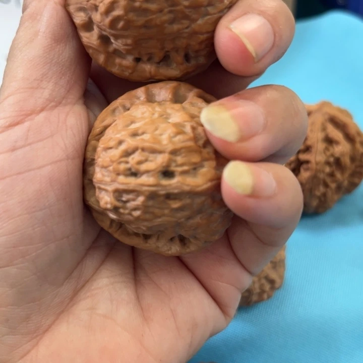 如***斯核桃南瓜墩开播福利