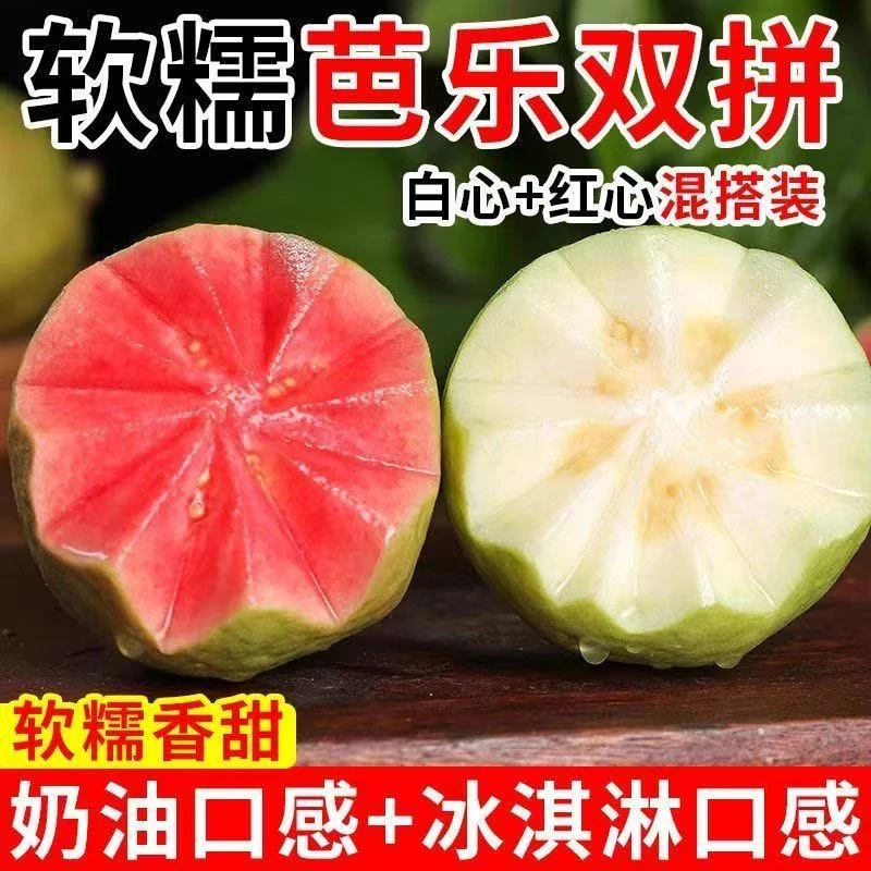 正宗广西老树果红心软糯芭乐白心奶油软糯番石榴