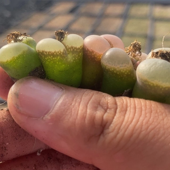 570一组一组一组