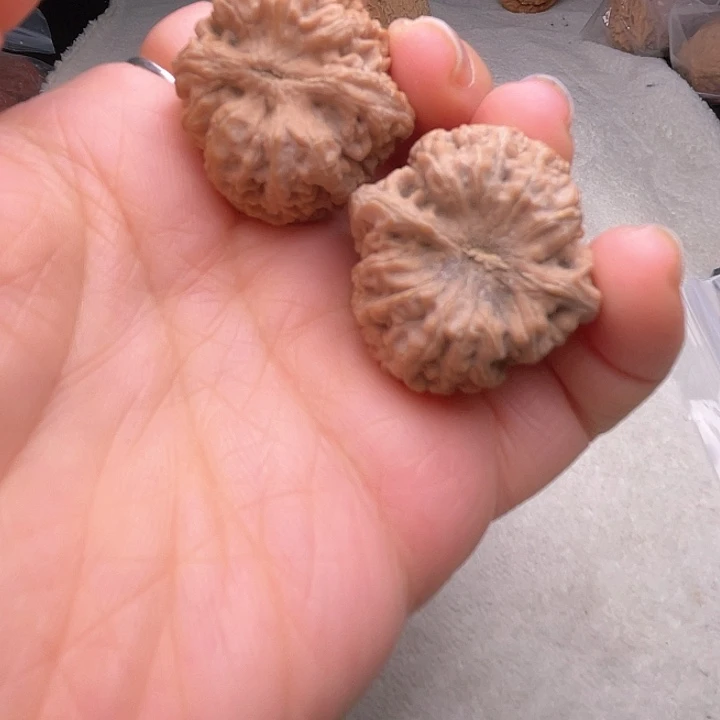 阿*核桃核桃核桃核桃